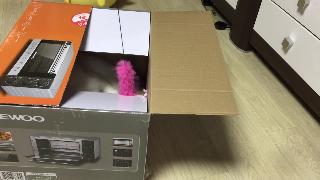 Кот му в коробке