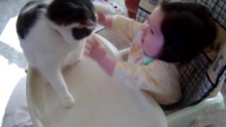Симпатичные животные симпатичные дети играющие с кошками часть эпический смех