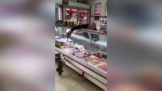 Кот покупает мясо у мясника