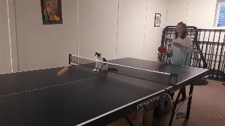 Кошка играет в настольный теннис